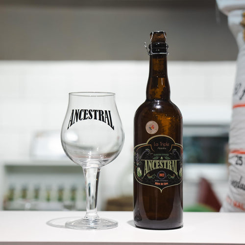 Bières artisanales ou industrielles : Quelle différences et pourquoi privilégier l’artisanat ?