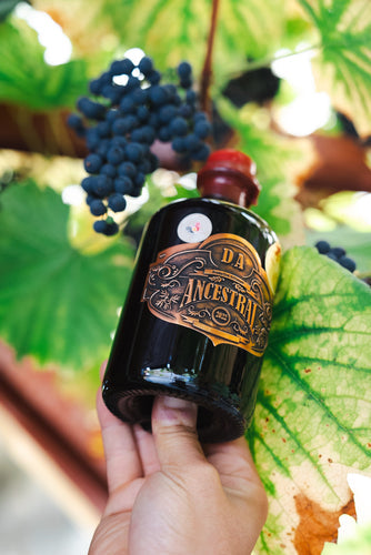 Médaille d’or au concours international de Lyon : Notre liqueur de rose brille !